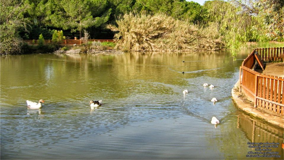 Athalassa Lake in Agios Georgios park