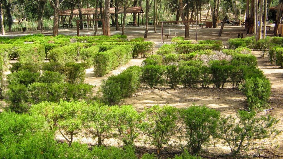 The tree labyrinth in the Athalassa National park