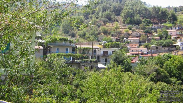 Η Πλατανιστάσα "πνίγεται" στο πράσινο