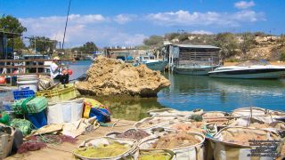 Liopetri River Fishing Harbor