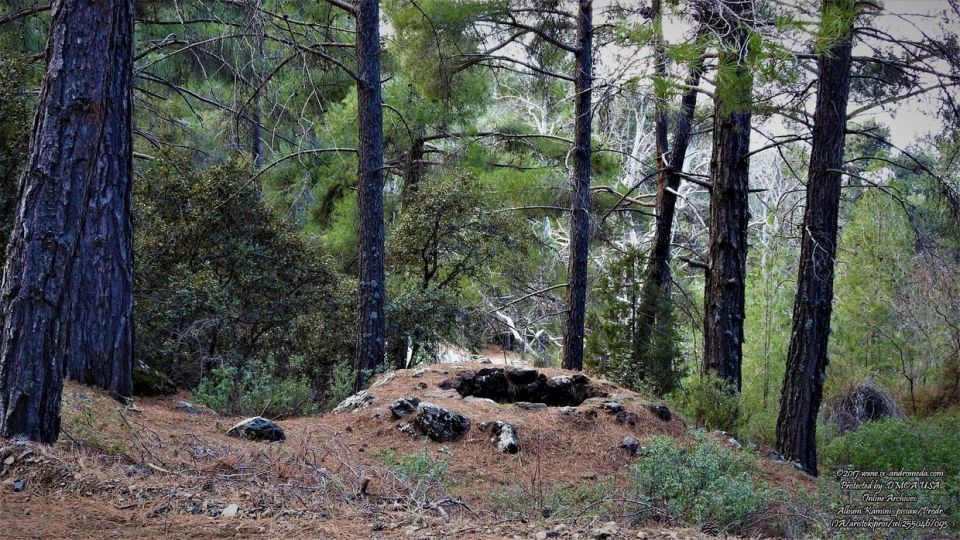 Αρχαίο Καμίνι παραγωγής Πίσσας στο χωριό Πρόδρομος και στο Δάσος Τροόδους