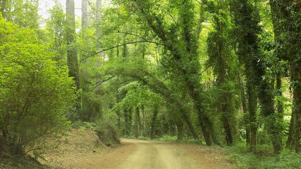 Εικόνες Τροπικού παραποτάμιου περιβάλλοντος στην κοιλάδα Πλατύ