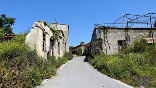 Στατός - Πάφος