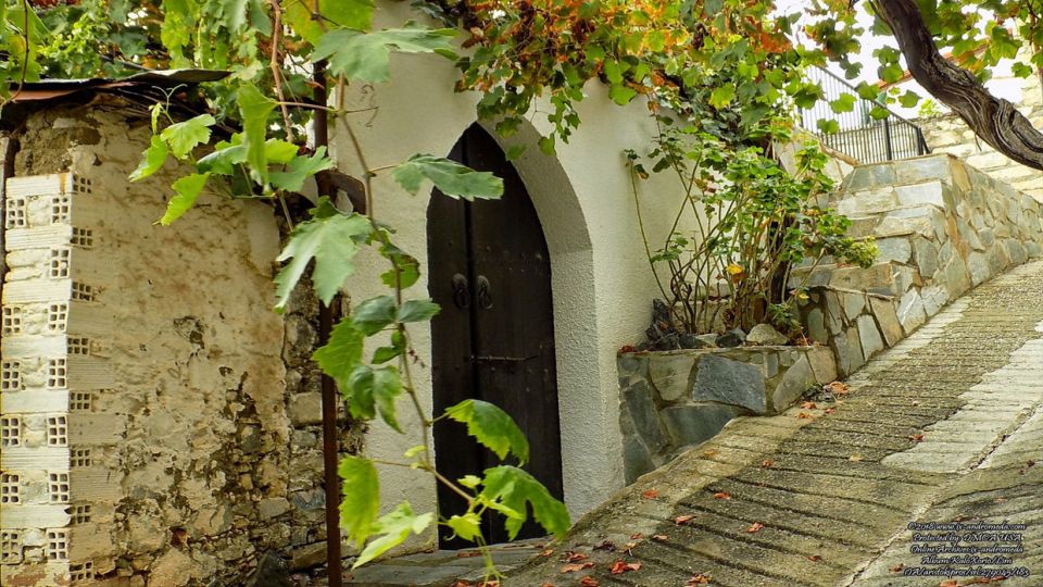 Είσοδος σπιτιού στον παλιό πυρήνα του Καλού Χωριού Λεμεσού με την κληματαριά του