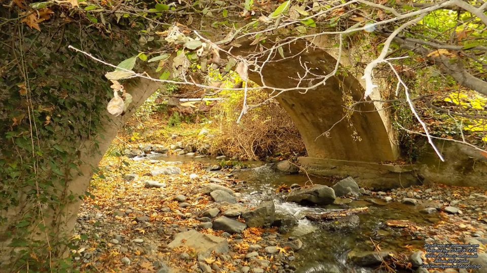 Χαμένο κάτω από πυκνό δάσος το Ενετικό γεφύρι του Μύλου στις Τρεις Ελιές