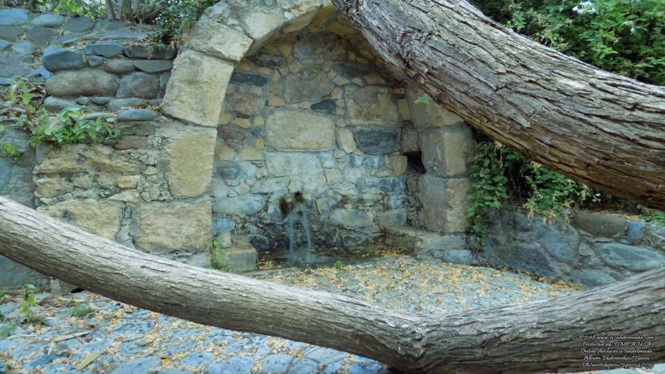 Τα δέντρα υποκλίνονται μπροστά στην πανάρχαια πηγή ζωής στον εκδρομικό Φλάσου