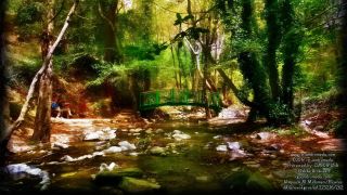 Μονοπάτι Πλάτρες - Καταρράκτης Μιλλομέρης