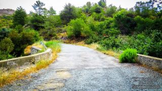 Εξωκλήσι Παναγίας Χρυσογαλούσας - Φτερικούδι