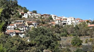 Δύμες - Πιτσιλιά, Λεμεσός
