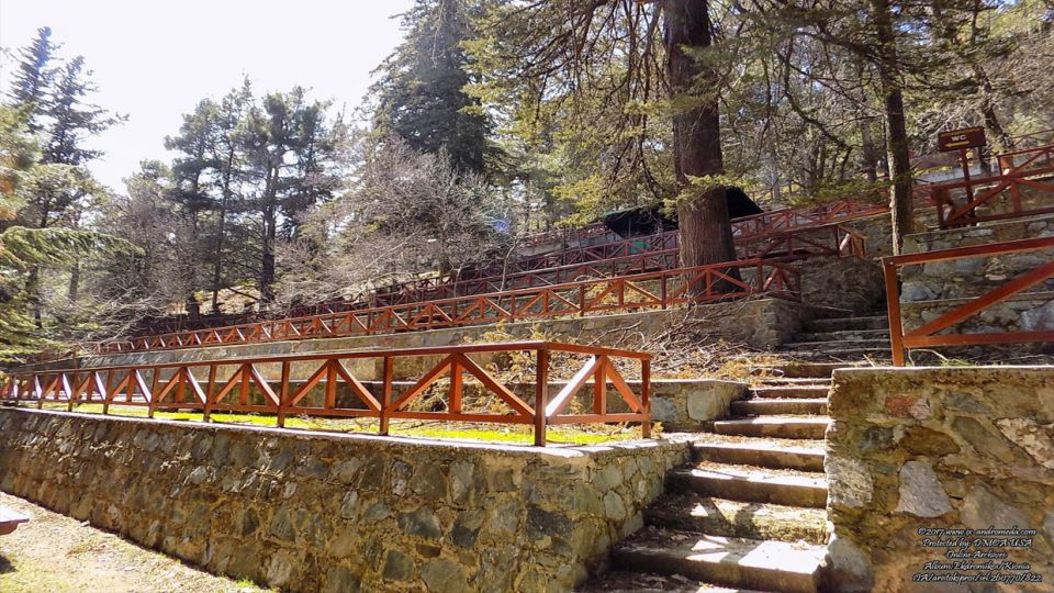 In the chestnut, cypress and pine forest, you will find the picnic area of Kionia
