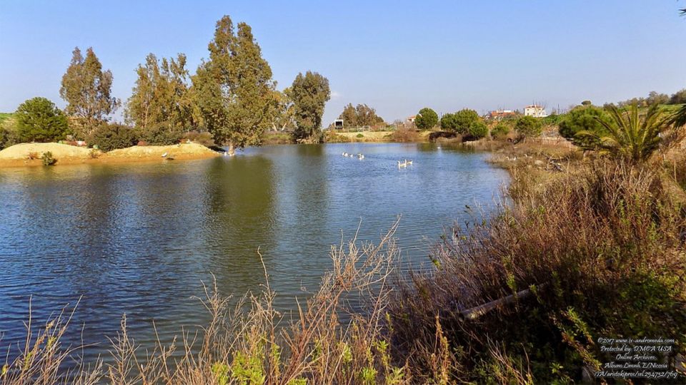 The small Lake with its geese at Ergates of Nicosia
