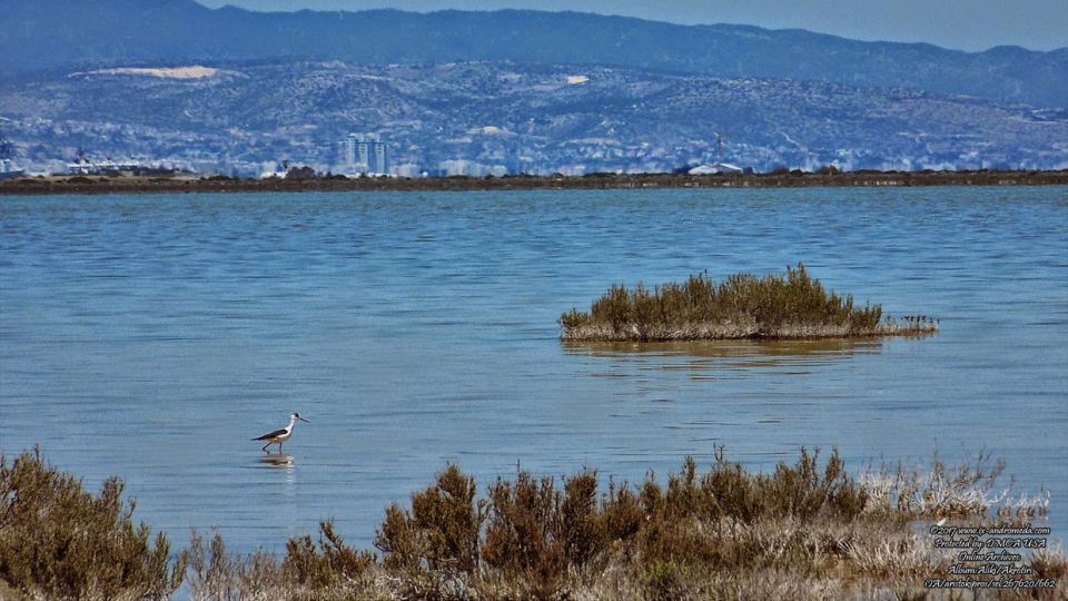 Η αλμυρή λίμνη Ακρωτηρίου είναι η μεγαλύτερη φυσική λίμνη της Κύπρου