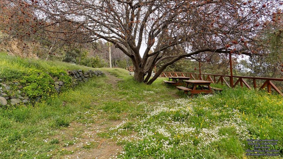 Ο εκδρομικός χώρος Προφήτη Ηλία στο χωριό Λυθροδόντας