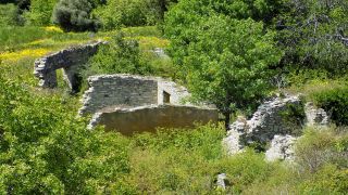 Το κεφαλόβρυσο της Τρόζενας