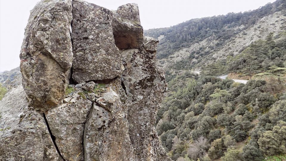Κύκκος - Σταυρός της Ψώκας, υψόμετρο 1153 μέτρα, "Κρεμμός της Πελλής"