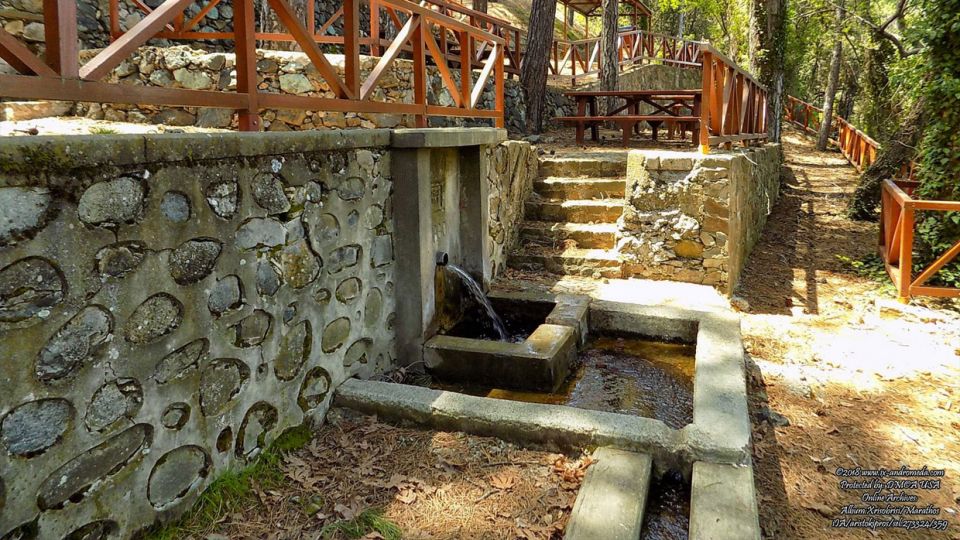 Η Χρυσόβρυση Μάραθου στην περιοχή Μουτουλλά ποτίζει την κοιλάδα Μαραθάσας
