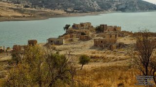 Φοίνικας