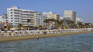 Φοινικούδες Λάρνακας