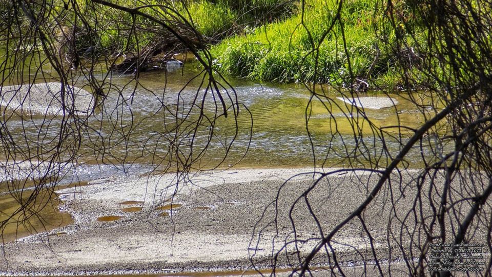 Ο ποταμός Μύλος αν και χείμαρρος δημιουργεί πανέμορφα παραποτάμια περιβάλλοντα