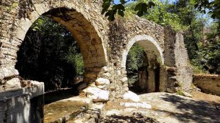 Φιλάνι - Πολιτικό Λευκωσίας
